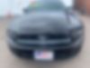 1ZVBP8AM6E5281393-2014-ford-mustang-2