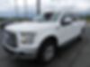 1FTEW1EP9GFA12767-2016-ford-f-150-1