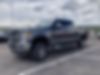 1FT7W2BT7HED50899-2017-ford-f-250-0