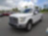 1FTEW1CP0FKF13037-2015-ford-f-150-2