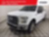 1FTEW1CP4GKF90902-2016-ford-f-150-0