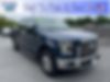 1FTEW1EP3GFA66226-2016-ford-f-150