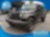 1C4HJWDG0HL528996-2017-jeep-wrangler-unlimited-0