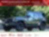 1C4HJWDG0GL104202-2016-jeep-wrangler-unlimited