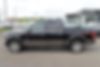 1FTEW1EFXGFA77554-2016-ford-f-150-2