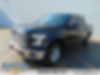 1FTEW1EPXGFC20088-2016-ford-f-150-0