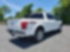 1FTEW1EP3HFB33036-2017-ford-f-150-2