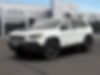 1C4PJMBX0MD214529-2021-jeep-cherokee-1
