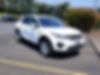 SALCP2FX2KH804239-2019-land-rover-discovery-sport-0