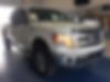 1FTFW1ET6DKD51359-2013-ford-f-150-1
