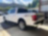 1FTEW1EF5GFA07086-2016-ford-f-150-1