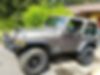 1J4FA49S13P314216-2003-jeep-wrangler-2