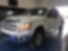 1FTFW1ET6DKD51359-2013-ford-f-150-0