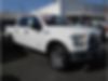 1FTEW1CP6GKD24524-2016-ford-f-150