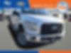 1FTEW1EP3HFC00315-2017-ford-f-150-0