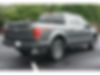 1FTEW1EPXHFA17851-2017-ford-f-150-2