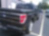 1FTFW1ET2DFB73474-2013-ford-f-150-1