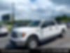 1FTFW1CT4DFC08339-2013-ford-f-150-1
