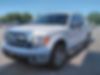 1FTEW1CM0DFD81571-2013-ford-f-150-0