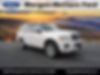1FMJU2AT9FEF16992-2015-ford-expedition-0