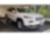 1C4PJMCB9GW205145-2016-jeep-cherokee-0