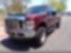 1FTSW21539EA27206-2009-ford-f-250-2