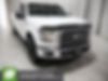 1FTEX1EP8FFB83330-2015-ford-f-150-0