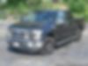 1FTEW1EP8GFA23677-2016-ford-f-150-0