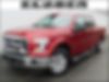1FTEW1CP1GFB24059-2016-ford-f-150-0