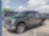 1FTEW1EF9FKD15318-2015-ford-f-150-2