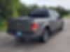 1FTEW1CP1GFD34919-2016-ford-f-150-2