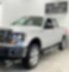 1FTFW1ET0BFD25541-2011-ford-f-150-2