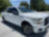 1FTEW1CP1GFD10474-2016-ford-f-150-2
