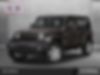 1C4HJXDGXKW500327-2019-jeep-wrangler-0