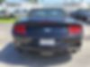 1FATP8UH0K5110212-2019-ford-mustang-2