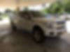 1FTFW1E4XKFB12461-2019-ford-f-150-0
