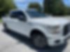 1FTEW1CP1GFD10474-2016-ford-f-150-0