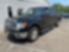 1FTFW1EF5BFD36125-2011-ford-f-150-1