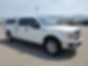 1FTFW1E5XKFB54301-2019-ford-f-150-2