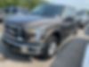 1FTEW1E82GFB04117-2016-ford-f-150-0