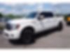 1FTFW1E6XBFB00019-2011-ford-f-150-0