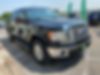 1FTFW1EF5BFD36125-2011-ford-f-150-0
