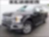 1FTEW1EP6KFA93638-2019-ford-f-150-0