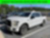 1FTEW1CG1GFB91728-2016-ford-f-150-0