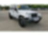 1C4BJWEG2DL504164-2013-jeep-wrangler-0