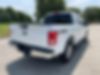 1FTEW1EP0GFD36996-2016-ford-f-150-2