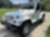 1J4FY49S6XP418699-1999-jeep-wrangler-2