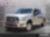 1FTEW1C80HFA87404-2017-ford-f-150-0