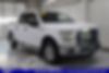 1FTEW1EP8GFC00308-2016-ford-f-150