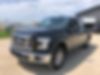 1FTEW1EP1HFA68087-2017-ford-f-150-0
